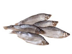 Пелядь вяленая