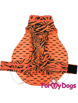 Попона Тигр оранжевая