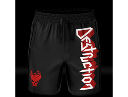 Destruction шорты