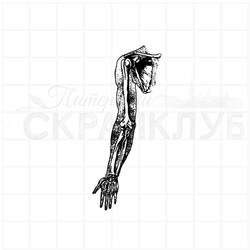 ФП штамп "Рука" (а)