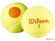 Теннисные мячи Wilson Starter Orange x3