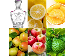 Creed Acqua Fiorentina