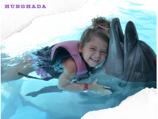 DOLPHINARIUM IN HURGHADA - SWIMMING WITH DOLPHINS