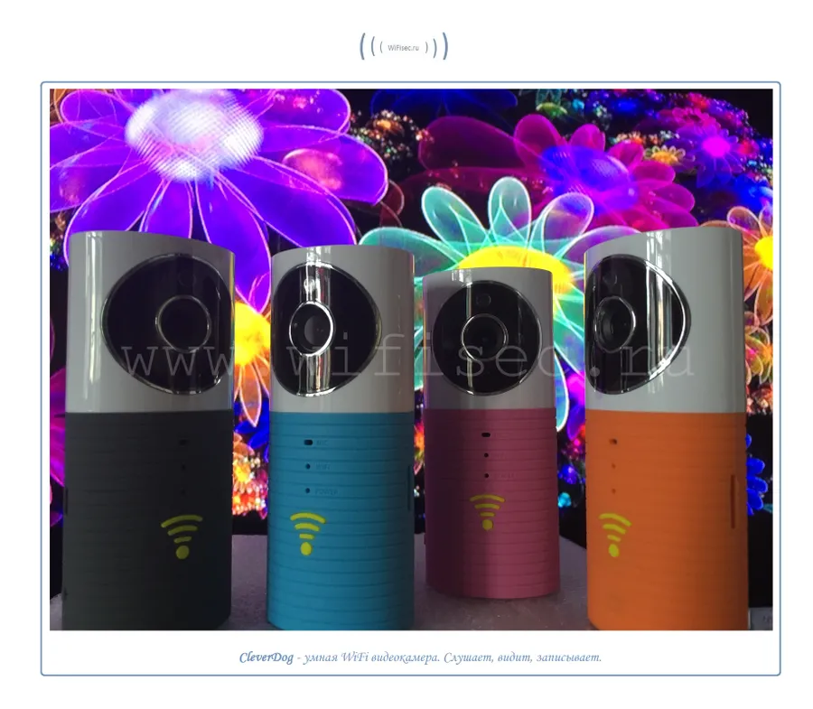CleverDog умная WiFi p2p видеокамера от WiFisec.ru