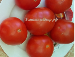 Томат Сент-Пьер (Saint Pierre), Франция