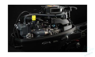 Лодочный мотор Suzuki DF9.9BS (BL)