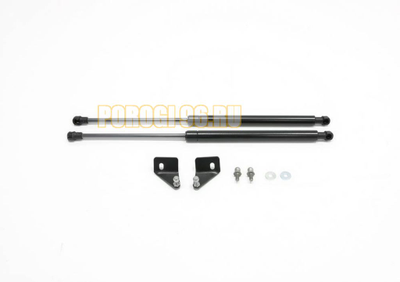 Амортизаторы капота, 2 шт. АвтоУпор для Renault Sandero StepWay I 2010-2014