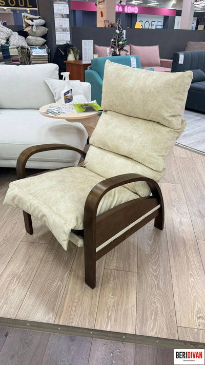 Спутник реклайнер