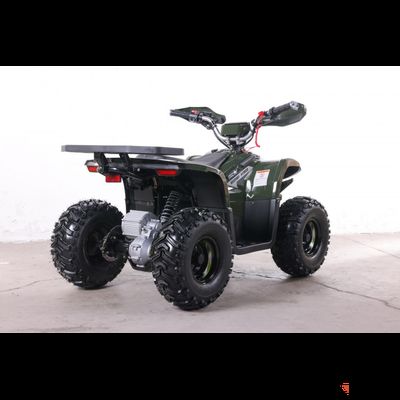 Квадроцикл GreenCamel Gobi K90 (20Ah 48V 750W R7 Дифф) LUX Bluetooth Темно-зеленый