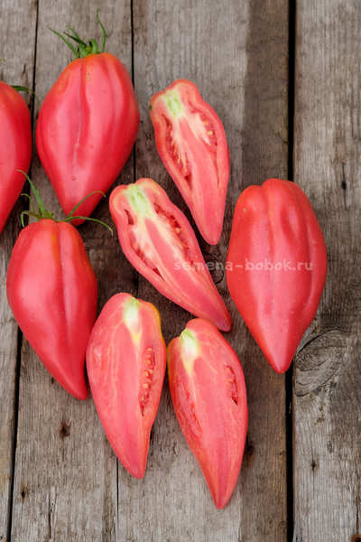 Томат Тюльпан Розовый, 5 шт