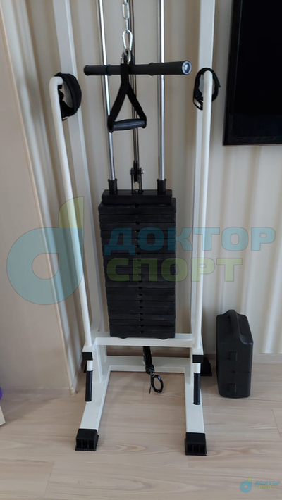 "Лидер-2"  100 кг со шведской стенкой