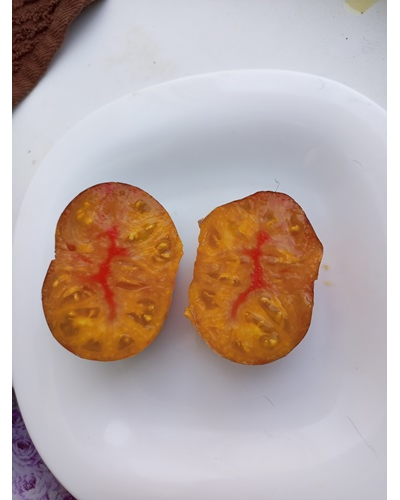 Томат Сладкая карамель Софии