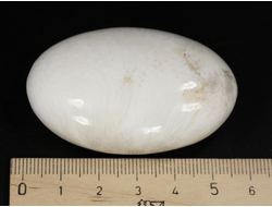 Сколецит, полировка, Индия (55*36*20 мм, 52 г) №35604