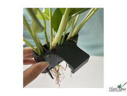 SwetAqua APH-M - Крепление для надводных растений