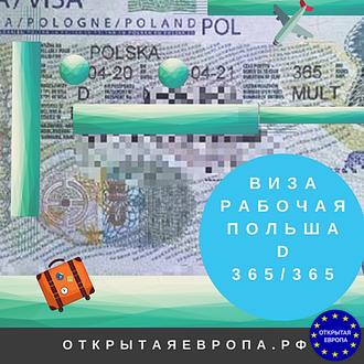 Образец рабочей Шенгенской визы