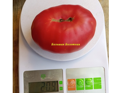 Томат Большая болотная (Grosse des Marais)