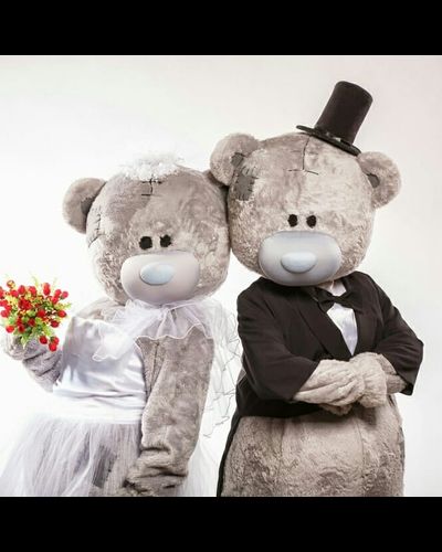 Курьер &quot;Мишка Тэдди&quot;