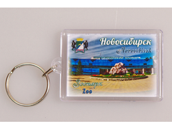 Пластиковый брелок 40х56 мм. - Новосибирский зоопарк | интернет-магазин 2fru.ru