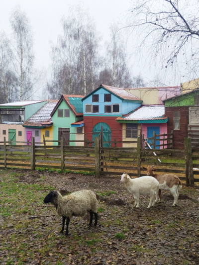 Экскурсия "День с альпаками"