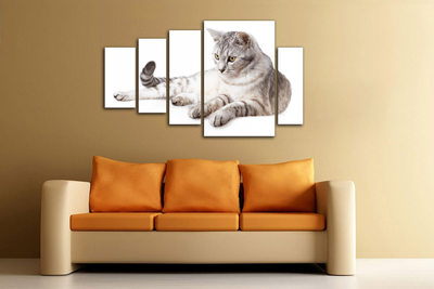 Модульная картина "Наблюдение"