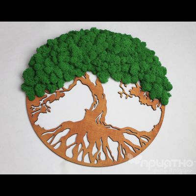 ЖИВАЯ ЭКО-КАРТИНА 1022