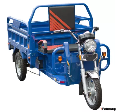 Грузовой электротрицикл TaiLG TL1000