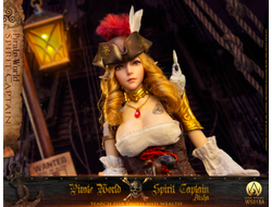 Эльфийка-пират Аиша - КОЛЛЕКЦИОННАЯ ФИГУРКА 1/6 Captain Aisha (WS018A) - War Story