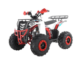 Детский квадроцикл WELS THUNDER EVO 125