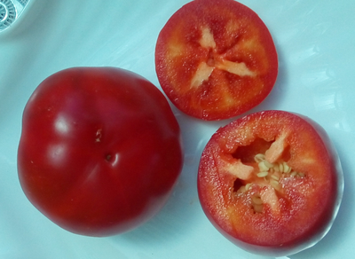 Перец острый Алма паприка (Яблочный перец, Alma Paprika)