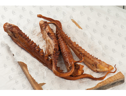 щупальца осьминога фото