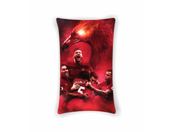 Подушка вертикальная Ливерпуль, Liverpool FC №16