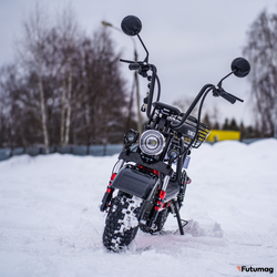 Электроскутер WHITE SIBERIA MINI R 1.5 1200W Черный