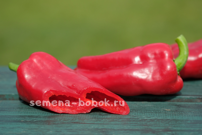 Перец сладкий Соседский (название условное), 10 шт