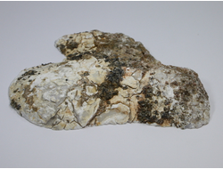 Кахолонг (Опал), срез с одной стороны, Оренбургская обл. (150*115*25 мм, 363 г) №21856