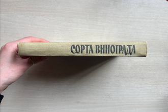 Сорта винограда. М.А. Лазаревский