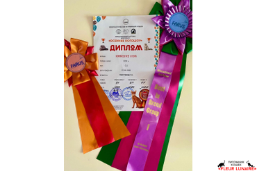 ВЫСТАВОЧНАЯ ДЕЯТЕЛЬНОСТЬ