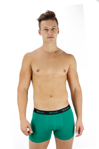 Трусы мужские боксеры модал Berrak 4476