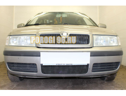 Защита радиатора Skoda Oktavia 2000-2011 black