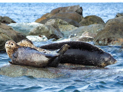 Владивосток - святыни и отдых на море