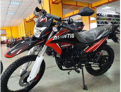 AVANTIS MT 250