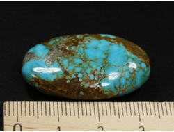 Бирюза, полировка плоская, США, Невада (32*20*10 мм, 8,3 г) №37841