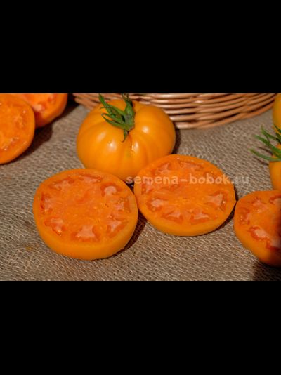 Томат Regalo Dall Italian (Подарок из Италии), 10 шт