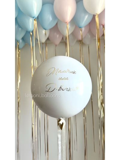 Комплект на гендер-пати №3