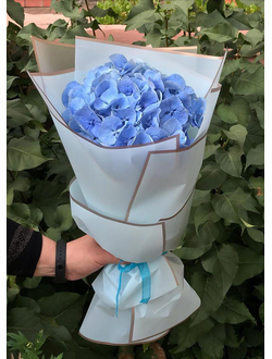 Моно букет из гортензии