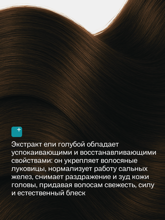 Живой шампунь голубая ель 90 гр.