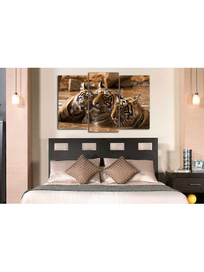 Модульная картина "Тигры в воде"