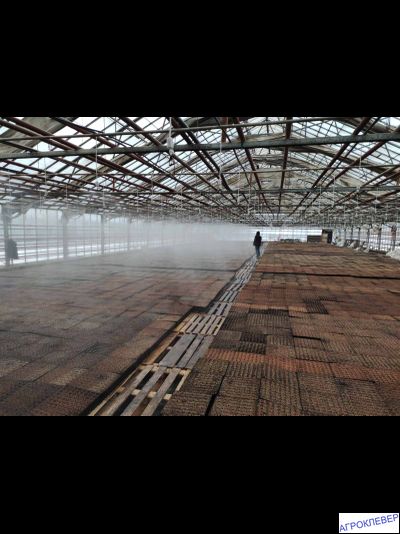 Дождеватель туманообразующий красный, 72,2-109,7л/ч, радиус 1,1-1,2м