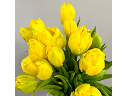 Букет из пионовидных тюльпанов