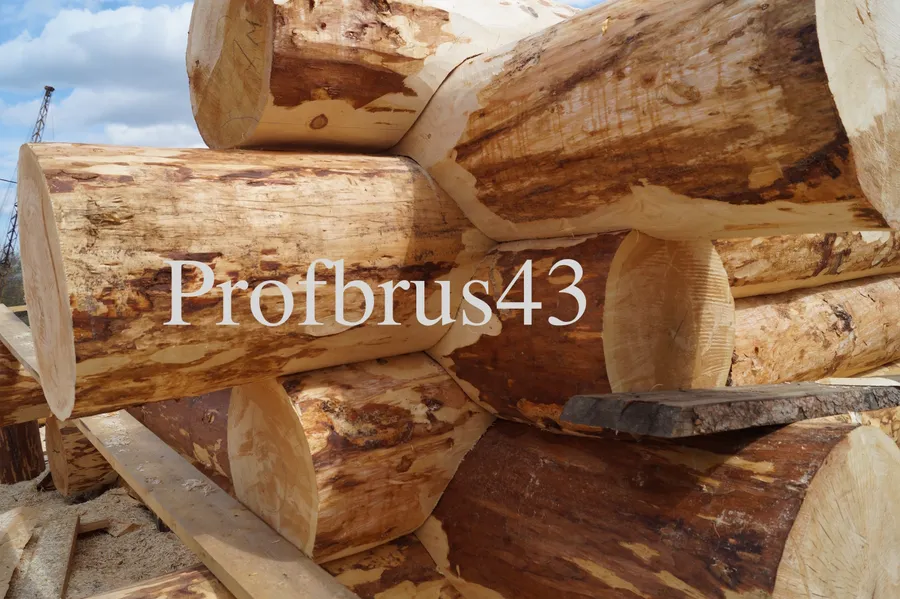 Собираем сруб из кедра на производственной площадке, Русская рубка