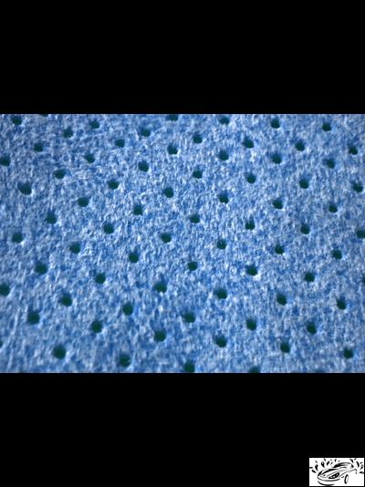 Замша искусственная перфорированная синяя "SALPA"